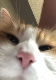 人浪中想真心告白(1v2,父子丼)